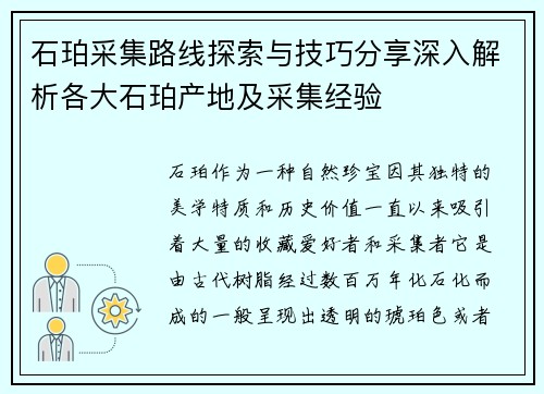 石珀采集路线探索与技巧分享深入解析各大石珀产地及采集经验